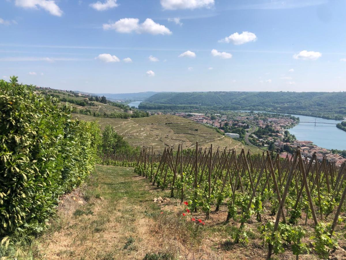 T3 Climatise 2eme Etage Condrieu
